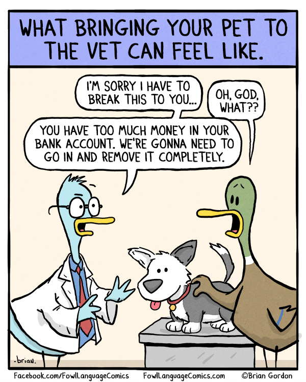 A Visit To The Vet Fowl Language Comics